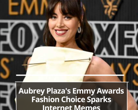 Aubrey Plaza wore a gold Loewe gown with a distinctive pattern to the 75th Primetime Emmy Awards.