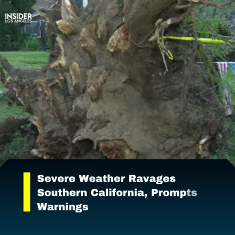 Strong winds of 35 to 45 mph with gusts of 60 to 65 mph wreaked havoc in Sherman Oaks.